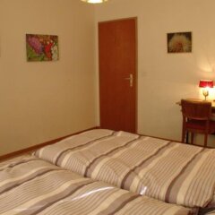Отель Chesa Albris Bed and Breakfast Швейцария, Санкт-Мориц - отзывы, цены и фото номеров - забронировать отель Chesa Albris Bed and Breakfast онлайн комната для гостей фото 3