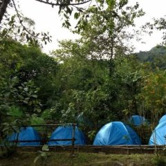Camp David Kigwema in Kohima, India from 90$, photos, reviews - zenhotels.com photo 8