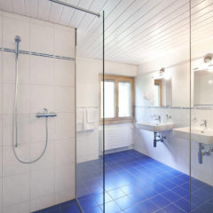 Hotel Falknerei Galina in Triesenberg, Liechtenstein from 168$, photos, reviews - zenhotels.com bathroom