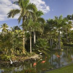 Отель Melia Caribe Tropical - Все включено Доминикана, Пунта Кана - 9 отзывов об отеле, цены и фото номеров - забронировать отель Melia Caribe Tropical - Все включено онлайн приотельная территория фото 2