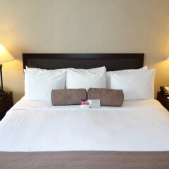 Отель Ramada Plaza by Wyndham Calgary Downtown Канада, Калгари - отзывы, цены и фото номеров - забронировать отель Ramada Plaza by Wyndham Calgary Downtown онлайн с домашними животными