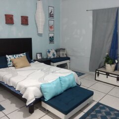 Отель Hostal Gato Azul Habitaciones Privadas Мексика, Гвадалахара - отзывы, цены и фото номеров - забронировать отель Hostal Gato Azul Habitaciones Privadas онлайн фото 14