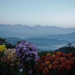 Отель Dhulikhel Mountain Resort Непал, Дхуликхел - отзывы, цены и фото номеров - забронировать отель Dhulikhel Mountain Resort онлайн приотельная территория