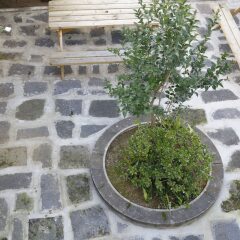 City's Hostel Ponta Delgada Понта-Делгада