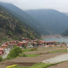 Zeren Pansiyon Турция, Узунгёль - отзывы, цены и фото номеров - забронировать отель Zeren Pansiyon онлайн фото 3