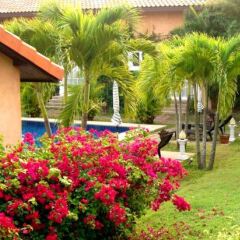 Отель Pictory Garden Resort