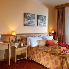 Blue Dolphin Hotel комната для гостей фото 13