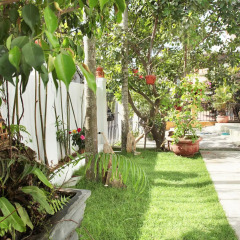 Отель Sunny Garden Homestay