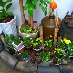 Отель Hanok Guesthouse 201 Южная Корея, Сеул - отзывы, цены и фото номеров - забронировать отель Hanok Guesthouse 201 онлайн питание фото 3