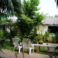 Отель Eden Hostel Таиланд, Пхукет - отзывы, цены и фото номеров - забронировать отель Eden Hostel онлайн фото 5