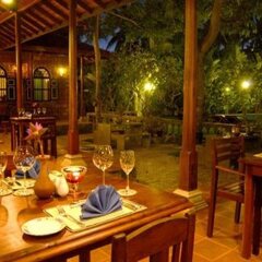 Отель Panchi Villa Шри-Ланка, Бентота - отзывы, цены и фото номеров - забронировать отель Panchi Villa онлайн питание