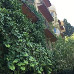 Shepherd Hotel фото 2