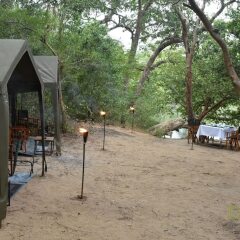 Отель Mahoora Tented Safari Camp - Kumana Шри-Ланка, Яла - отзывы, цены и фото номеров - забронировать отель Mahoora Tented Safari Camp - Kumana онлайн фото 14