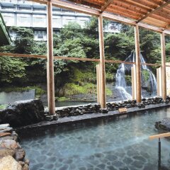 Hotel New Shiobara Насусиобара бассейн фото 2