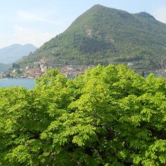 Отель Albergo Ristorante Aquila фото 3