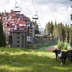 Отель Kamelia Complex Пампорово фото 6