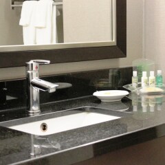 Отель Holiday Inn & Suites Pointe-Claire Montreal Airport Канада, Монреаль - отзывы, цены и фото номеров - забронировать отель Holiday Inn & Suites Pointe-Claire Montreal Airport онлайн ванная фото 2