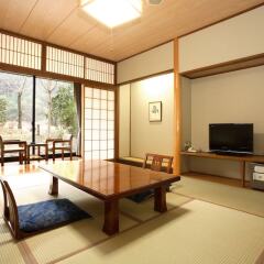 Отель Ryokan Ichinoi Минамиогуни комната для гостей фото 3