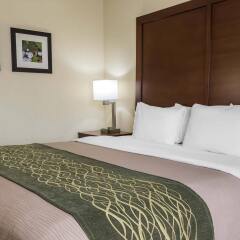 Comfort Inn Pocono Mountains White Haven United States Of