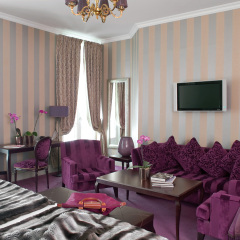 Отель Hôtel Champs Élysées Plaza Франция, Париж - 3 отзыва об отеле, цены и фото номеров - забронировать отель Hôtel Champs Élysées Plaza онлайн комната для гостей фото 4