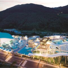 Отель Phoenix Pyeongchang Hotel Южная Корея, Пхёнчан - отзывы, цены и фото номеров - забронировать отель Phoenix Pyeongchang Hotel онлайн фото 9