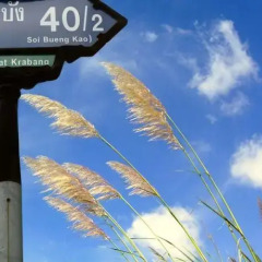 Отель Ploy Khumthong Boutique Resort Бангкок фото 2
