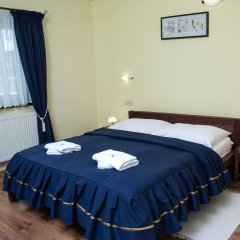 Отель Amalia Словакия, Нова-Лесна - отзывы, цены и фото номеров - забронировать отель Amalia онлайн комната для гостей фото 4