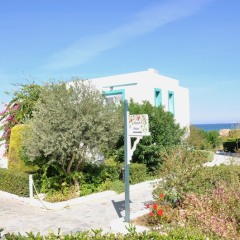 Отель Mastichari Bay Hotel Греция, Калимнос - отзывы, цены и фото номеров - забронировать отель Mastichari Bay Hotel онлайн фото 3