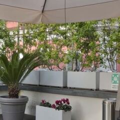 Отель Best Western Cinemusic Hotel Италия, Рим - 2 отзыва об отеле, цены и фото номеров - забронировать отель Best Western Cinemusic Hotel онлайн фото 5