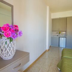 Отель Windmills Hotel Apartments Кипр, Протарас - отзывы, цены и фото номеров - забронировать отель Windmills Hotel Apartments онлайн комната для гостей фото 2