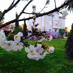 Отель La Casona Azul