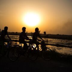 Отель Chitwan Adventure Resort Непал, Саураха - отзывы, цены и фото номеров - забронировать отель Chitwan Adventure Resort онлайн пляж