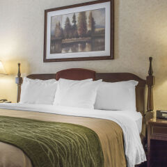 Comfort Inn Sarnia In Sarnia Canada From None Photos Reviews
