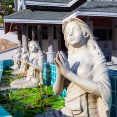 Отель Orchidacea Resort Таиланд, Пхукет - 10 отзывов об отеле, цены и фото номеров - забронировать отель Orchidacea Resort онлайн