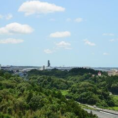 Отель ANA Crowne Plaza Narita пляж фото 2