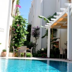 Olivias Group Hotel бассейн фото 3