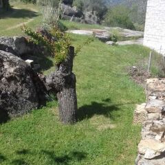Отель El Paraiso Casa Rural Эль-Баррако фото 2