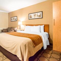 Отель Comfort Inn Kirkland Lake комната для гостей фото 2