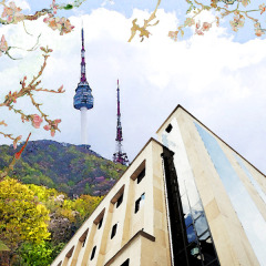 Отель N Fourseason Hotel Myeongdong Южная Корея, Сеул - отзывы, цены и фото номеров - забронировать отель N Fourseason Hotel Myeongdong онлайн развлечения