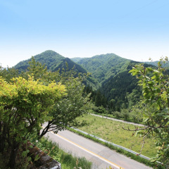 Отель Shirakaba Heights Тояма