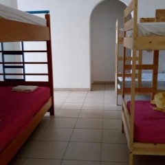 Отель Paphos Inn Hostel Кипр, Пафос - отзывы, цены и фото номеров - забронировать отель Paphos Inn Hostel онлайн комната для гостей фото 5
