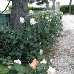 Отель Agriturismo La Fonte Потенца-Пичена фото 17