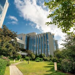Swissotel The Bosphorus Istanbul Турция, Стамбул - 6 отзывов об отеле, цены и фото номеров - забронировать отель Swissotel The Bosphorus Istanbul онлайн фото 8