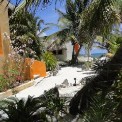 Mayan Beach Garden Inn In Mahahual Mexico From 69 Photos