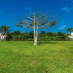 Отель Mareazul Family Beach Condohotel Плая-дель-Кармен фото 6
