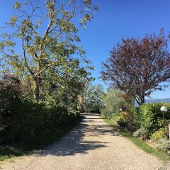 Отель Villa Il Crocicchio Реггелло фото 9