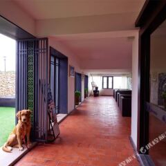 Отель Xiamen Fengshui Sailing Club & Resort Китай, Сямынь - отзывы, цены и фото номеров - забронировать отель Xiamen Fengshui Sailing Club & Resort онлайн фото 8