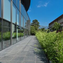 Отель Royal Gardens Budva Черногория, Будва - отзывы, цены и фото номеров - забронировать отель Royal Gardens Budva онлайн фото 5
