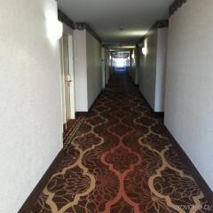 Отель Best Western Joliet Inn & Suites фото 4