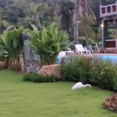 Отель Lanta Infinity Resort Ланта фото 12